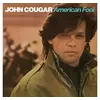 Image de American Fool