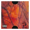 Image de Blank Face Vinyle Orange Opaque Marbré