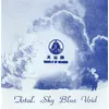 Image de Sky Blue Void Vinyle Bleu