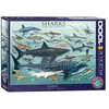Image de Puzzle Eurographics - Requins, 1000 pièces