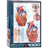 Image de EurographicsPuzzles Science - The Heart - puzzle - 1000 pièces