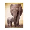 Image de Puzzle Eurographics - L'éléphant et le bébé éléphant, 1000 pièces