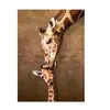 Image de EurographicsPuzzles Animals - Giraffe Mother's Kiss - puzzle - 1000 pièces
