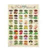 Image de Puzzle Eurographics - Herbes et épices, 1000 pièces
