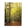Image de EurographicsPuzzles - Forest Path - puzzle - 1000 pièces