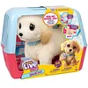 Image de Moose Toys Little Live Pets Ouchies Puppy Cooper