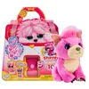 Image de Salon Surprise Rose Scruff A Luvs Cutie Cuts Modèle aléatoire