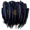 Image de Hyacinth