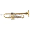 Image de Trompette Sib Etudiant Vernie Jtr701q