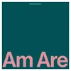 Image de Am Are - Vinyle