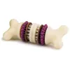 Image de PETSAFE Jouet Bristle Bone T.M Chien