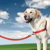 Image de Harnais Easywalk Pour Chien Rouge - Taille S