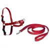 Image de Harnais l rouge