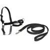 Image de PETSAFE Harnais Easywalk Chien Xl Noir