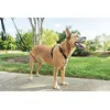 Image de Harnais Easywalk Chien 3 En 1 M Noir
