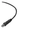 Image de Belkin Premium Printer Cable - câble USB - 3 m