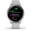 Image de Montre connectée Garmin Collection Venu 2S Argent avec bracelet Gris clair