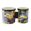 Image de Bongos Enfant Rain Forest