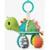 Image de Tortue Miroir - multicolore TU