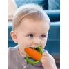 Image de Anneau de dentition silicone carotte multicolore TU