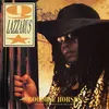 Image de Goodbye Horses