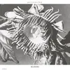 Image de Persuasion Ep