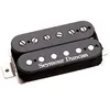 Image de Seymour Duncan Seymour Duncan Sh-Pg1n - Pearly Gates, Manche, Noir
