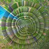 Image de Collapse EP Inclus coupon MP3