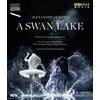 Image de Lac des cygnes - Opéra d'Oslo 2014