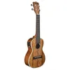 Image de Kala Ka-Cge Acajou - Ukulele Concert Ãlectro - Finition Brillante (+ Housse)