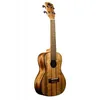 Image de Kapwc Ukulele Concert Pacific Walnut