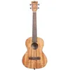 Image de Kala - Ka-Pwt Pacific Walnut