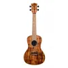 Image de Kasac Avec Etui Concert Solid Acacia