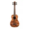 Image de Ubassemfs Exotic Mahogany
