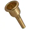 Image de EMBOUCHURE DE BUGLE DENIS WICK ADW4884 4BFL AURIFIEE