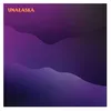 Image de Unalaska (12inch+Mp3)