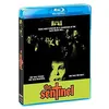 Image de The Sentinel [Region 1]