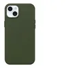 Image de OtterBox Symmetry Series - Coque de protection pour téléphone portable - compatibilité avec MagSafe - cuir de catus, polyuréthane - cactus grove (green) - pour Apple iPhone 15 Plus