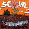 Image de How Flowers Grow Vinyle Violet Paillettés