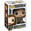 Image de Funko Figurine Pop - Harry Potter - Sirius Black - Funko Pop N°16