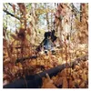 Image de Golliwog - Vinyle