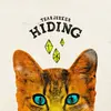 Image de Hiding