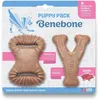 Image de Benebone - Puppy 2-Pack Dental Chew/Wishbone 10cm - (85411100449)