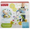 Image de Mattel Fisher Price Zèbre Trotteur Premiers Pas