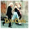 Image de WIDE OPEN SPACES/LP