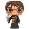 Image de Figurine Funko Pop Harry Potter with Hedwig