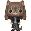 Image de Figurine Funko Pop Saison 5 Hermione As Cat