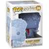 Image de Funko Pop Harry Potter: S5 - Bloody Baron
