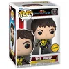 Image de Figurine Funko Pop Marvel Ant-Man and The Wasp Quantumania with Chase Modèle aléatoire