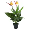 Image de Plante artificielle strelitzia reginae oiseau de paradis 66 cm DEC021942